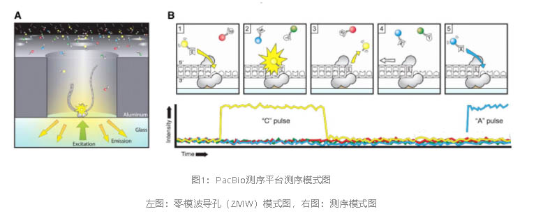 1623737978881.jpg 1623320839850.jpg