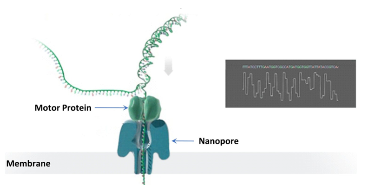 1623738016610.png 1623320839935.png