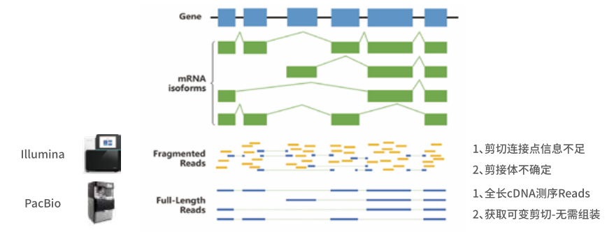 1623741484895.png 1623741484895.png