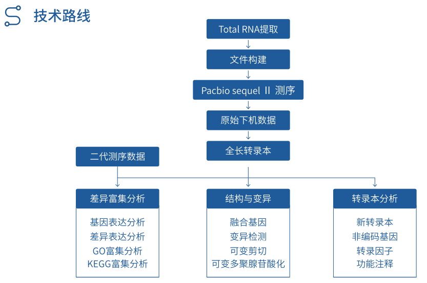 1623741523170.png 1623741523170.png