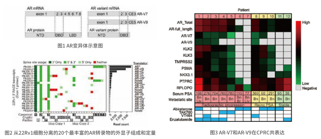 1623741647161.png 1623741647161.png