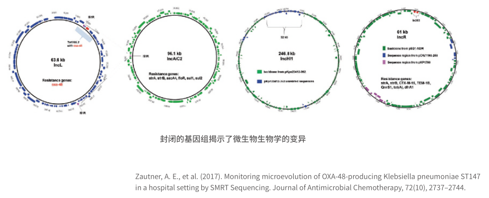 1623742250893.png 1623742250893.png